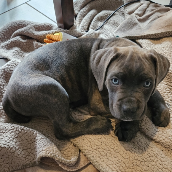 Thanks for visiting! 😃🐶💖🏖 - Picture 2 of 10